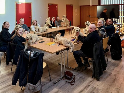 Formation secours canin 1er trimestre 2025