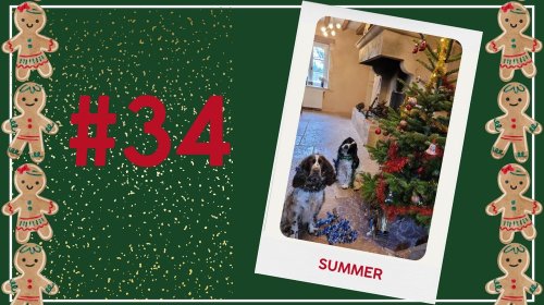 Concours photos 2024 : sur le thème de Noël