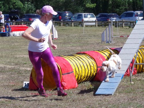 Concours d'agility, Fontaines 11 septembre 2022