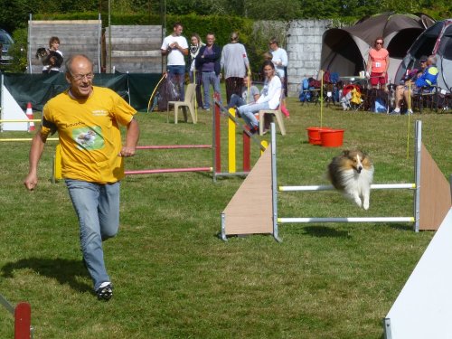 Concours d'agility, Autun, 10 septembre 2017