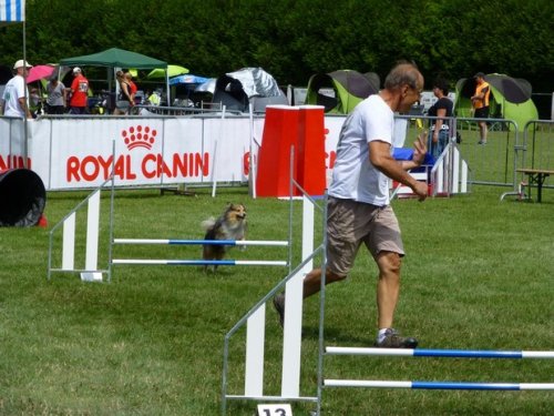 Finale nationale 2015 du Trophée par équipe à Coucy le Château