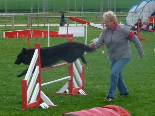 Concours d'agility, Barges, 16 avril 2017