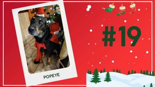 Concours photos 2024 : sur le thème de Noël