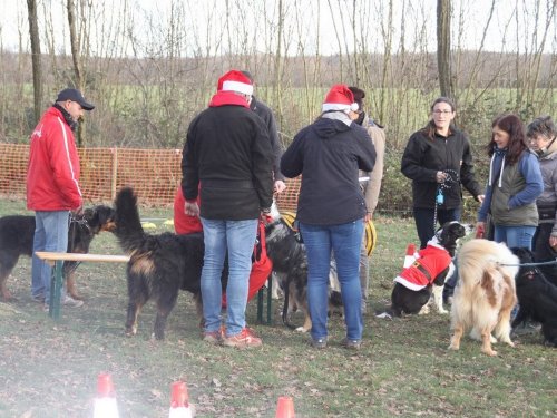 Education canine, 21 décembre 2019