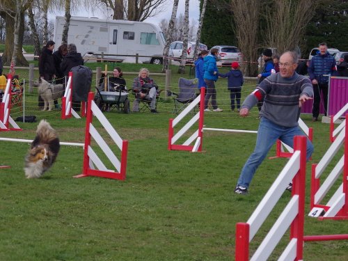 Concours d'agility, Barges, 1 avril 2018