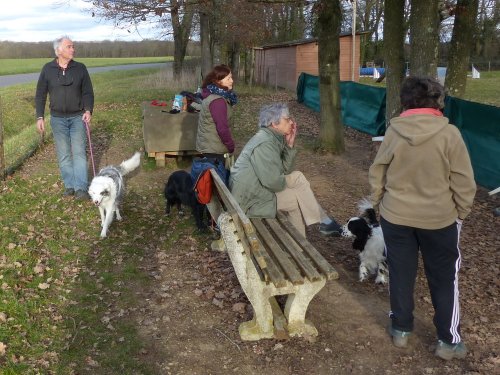 Agility loisir, 18 février 2023