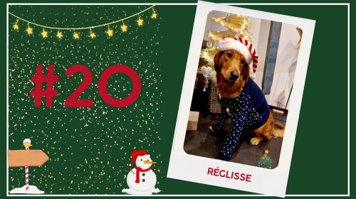 Concours photos 2024 : sur le thème de Noël