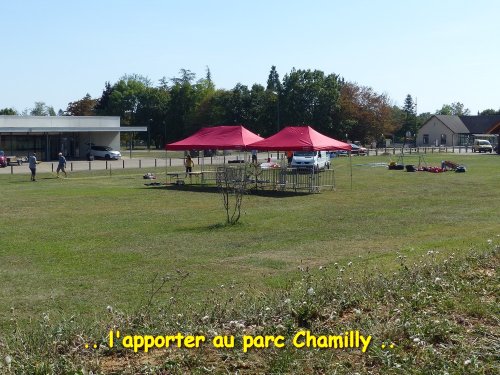 Concours d'agility, Fontaines 9 et 10 septembre 2023