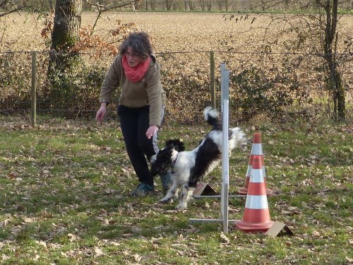 Agility loisir, 18 février 2023