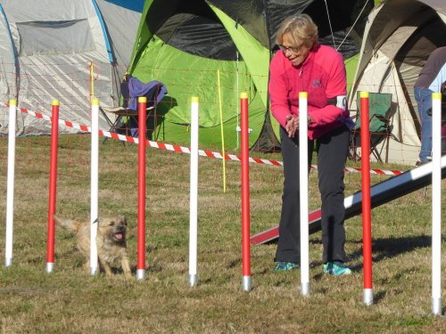 Concours d'agility, Autun, 9 septembre 2018