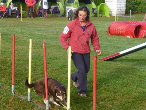 Concours d'agility, Autun, 10 septembre 2017