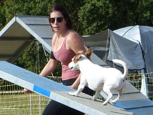 Concours d'agility de Fontaines, le 16 septembre 2018