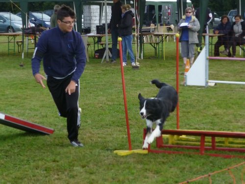 Concours d'agility, Autun, 10 septembre 2017