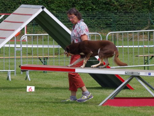 Concours d'agility, Montbard, 24 juin 2018