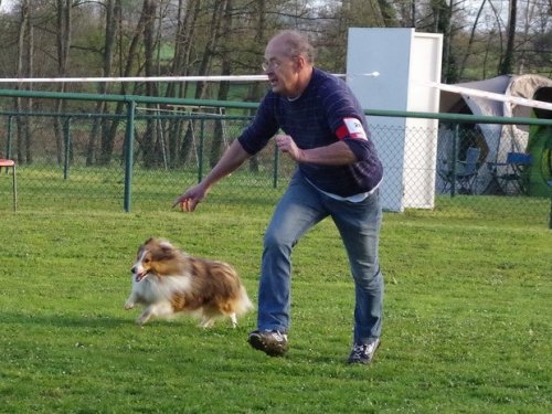 Concours d'agility, Macon, 26 mars 2017