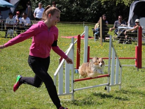 Premier concours d'agility de Fontaines, le 12 avril 2015