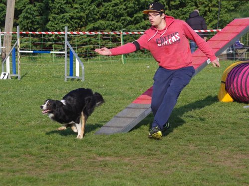 Concours d'agility, Gergy, 14 avril 2019