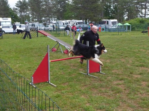 Concours d'agility, Messigny Vantoux, 12 et 13 mai 2018