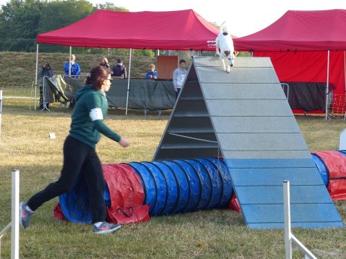 Concours d'agility de Fontaines, le 16 septembre 2018