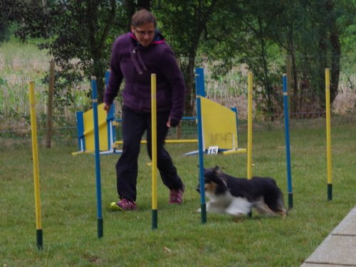 CAESC et Pass-agility Fontaines 17 septembre 2016