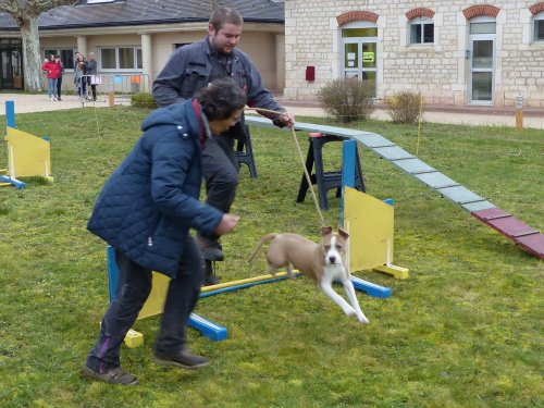 Démonstration au lycée agricole de Fontaines le 18 mars 2018