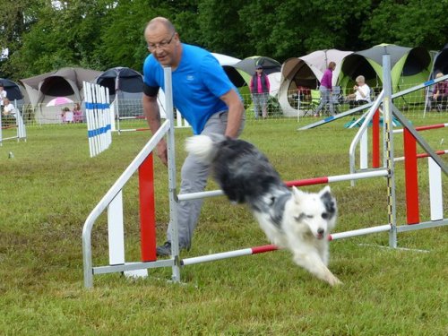 Concours d'agility de Fontaines, le 29 mai 2016