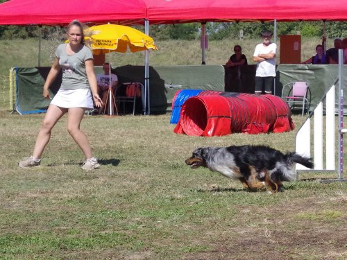 Concours d'agility, Fontaines 9 et 10 septembre 2023