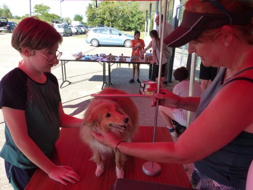 Concours d'agility, Fontaines 9 et 10 septembre 2023