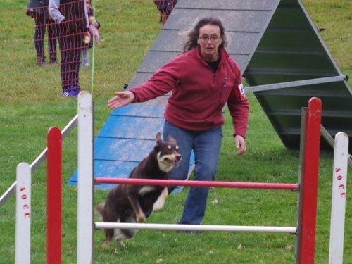 Concours d'agility, Le Creusot, 19 mars 2017