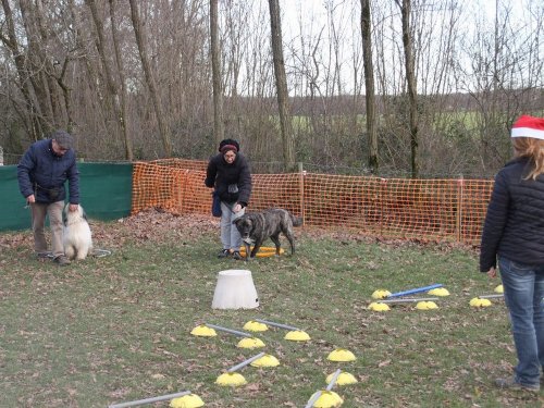 Education canine, 21 décembre 2019