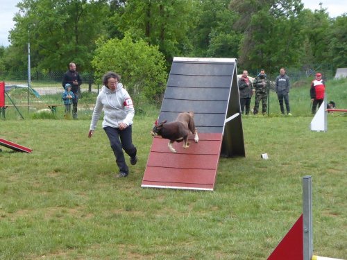 Concours d'agility, Messigny Vantoux, 12 et 13 mai 2018