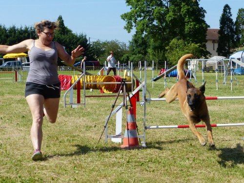 Concours d'agility de Fontaines, le 28 mai 2017