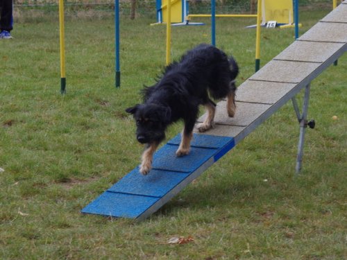 CAESC et Pass-agility Fontaines 17 septembre 2016