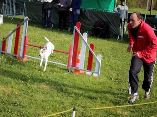 Premier concours d'agility de Fontaines, le 12 avril 2015