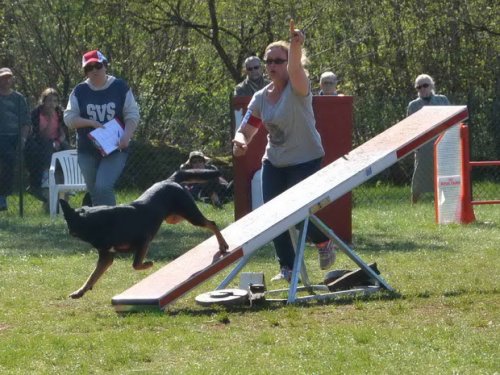 Concours d'agility, Daix, 19 avril 2015