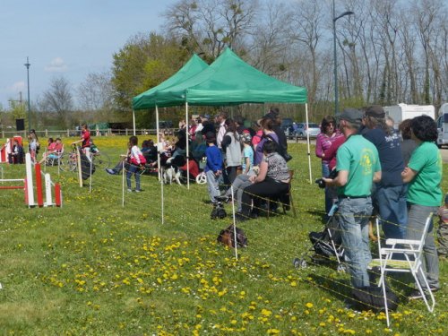 Premier concours d'agility de Fontaines, le 12 avril 2015