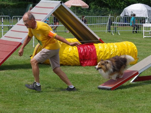 Concours d'agility, Montbard, 24 juin 2018