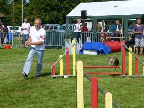 Concours d'agility, Autun, 14 septembre 2014