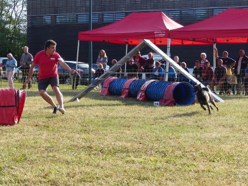 Concours d'agility de Fontaines, le 16 septembre 2018