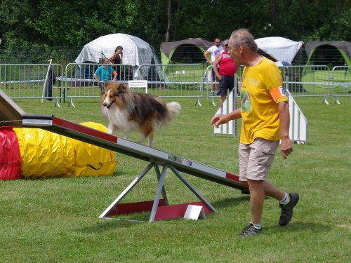 Concours d'agility, Montbard, 24 juin 2018