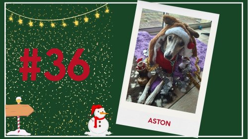 Concours photos 2025 : sur le thème de Noël