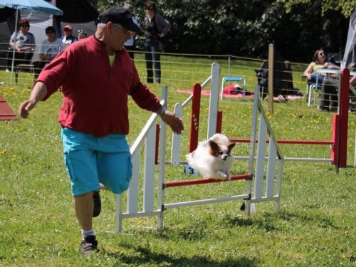 Premier concours d'agility de Fontaines, le 12 avril 2015