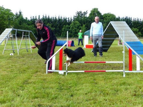 Concours d'agility de Fontaines, le 29 mai 2016