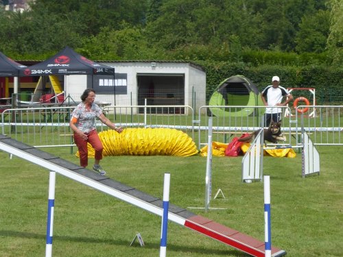 Concours d'agility, Montbard, 24 juin 2018