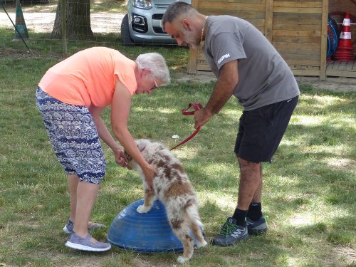 Fitness canin, 18 juin 2022