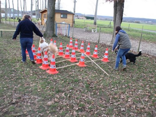 Education canine, 21 décembre 2019