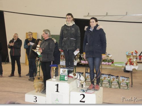 Concours d'agility, Le Creusot, 25 novembre 2018