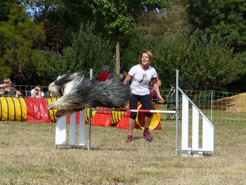 Concours d'agility de Fontaines, le 16 septembre 2018