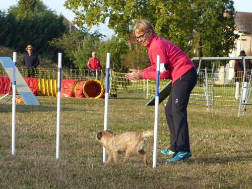 Concours d'agility de Fontaines, le 16 septembre 2018