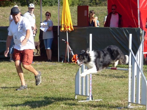 Concours d'agility, Fontaines 9 et 10 septembre 2023